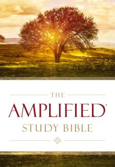The Amplified Bible