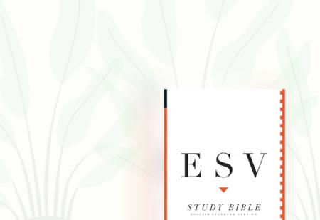 Study Bibles