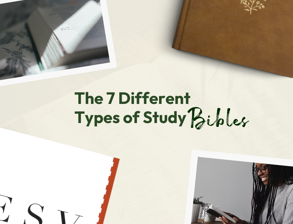 The 7 Different Types of Study Bibles (And How to Choose the Right One)