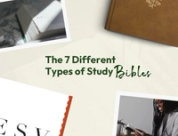 The 7 Different Types of Study Bibles