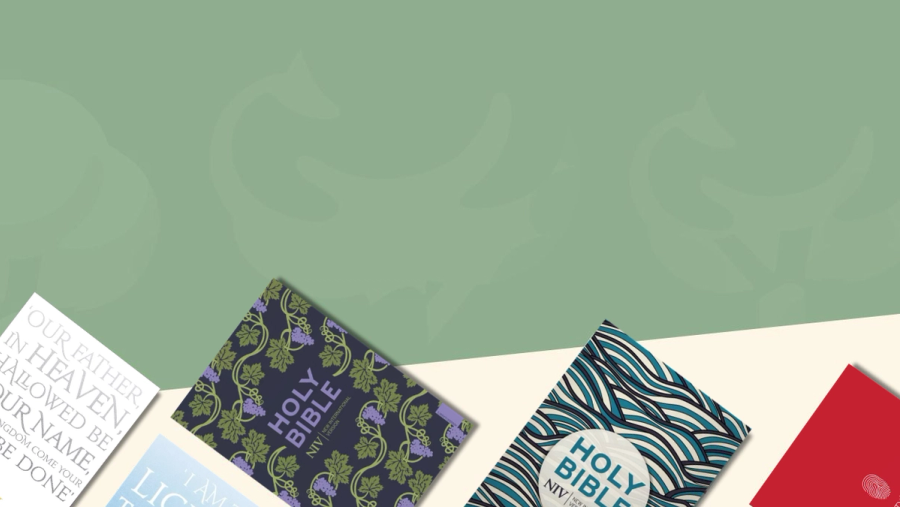 NIV Outreach Bibles