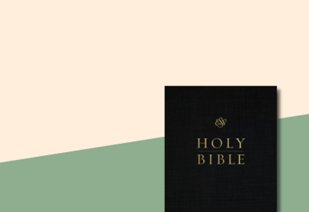 ESV Pew Bibles