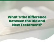 What’s the Difference Between the Old and New Testament? A Beginner’s Guide