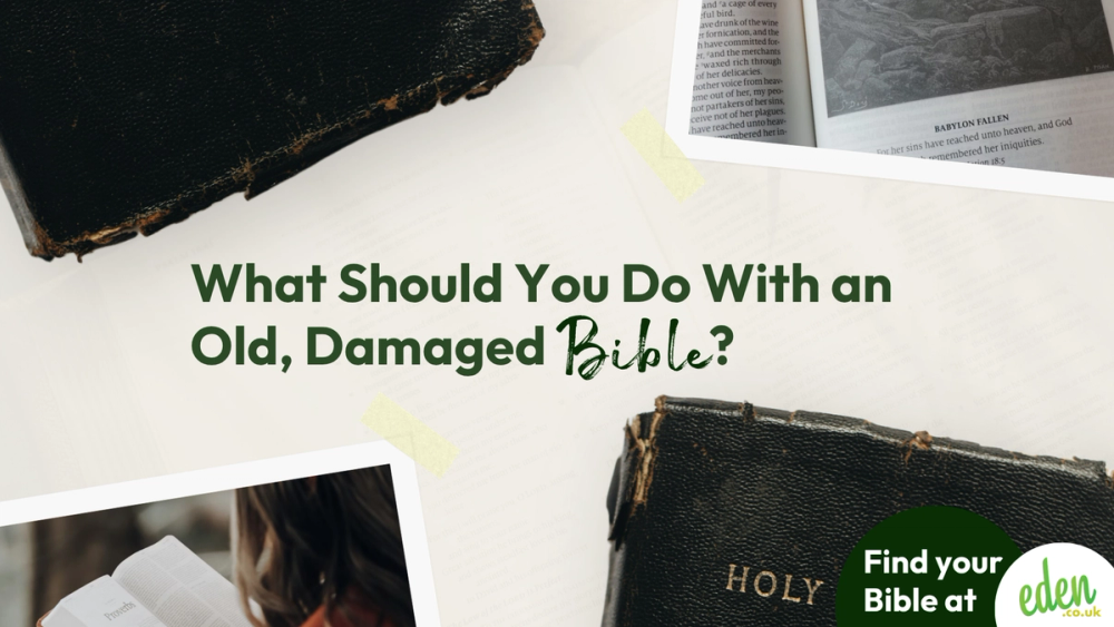 What Should You Do With an Old, Damaged Bible? (Repair, Donate, or Retire)