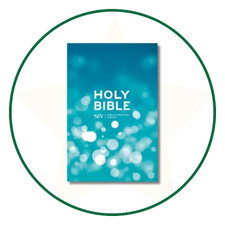 NIV Pew Bibles
