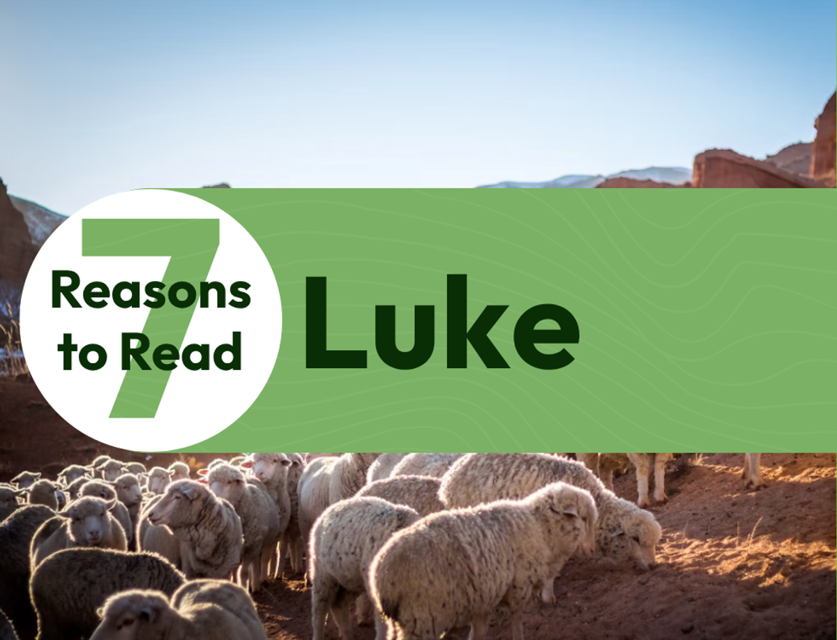 7 Reasons to Read the Gospel of Luke