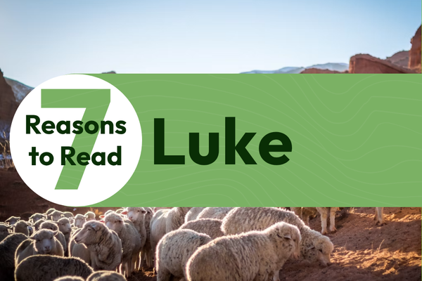 7 Reasons to Read the Gospel of Luke