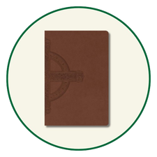 NLT Large Print Bibles