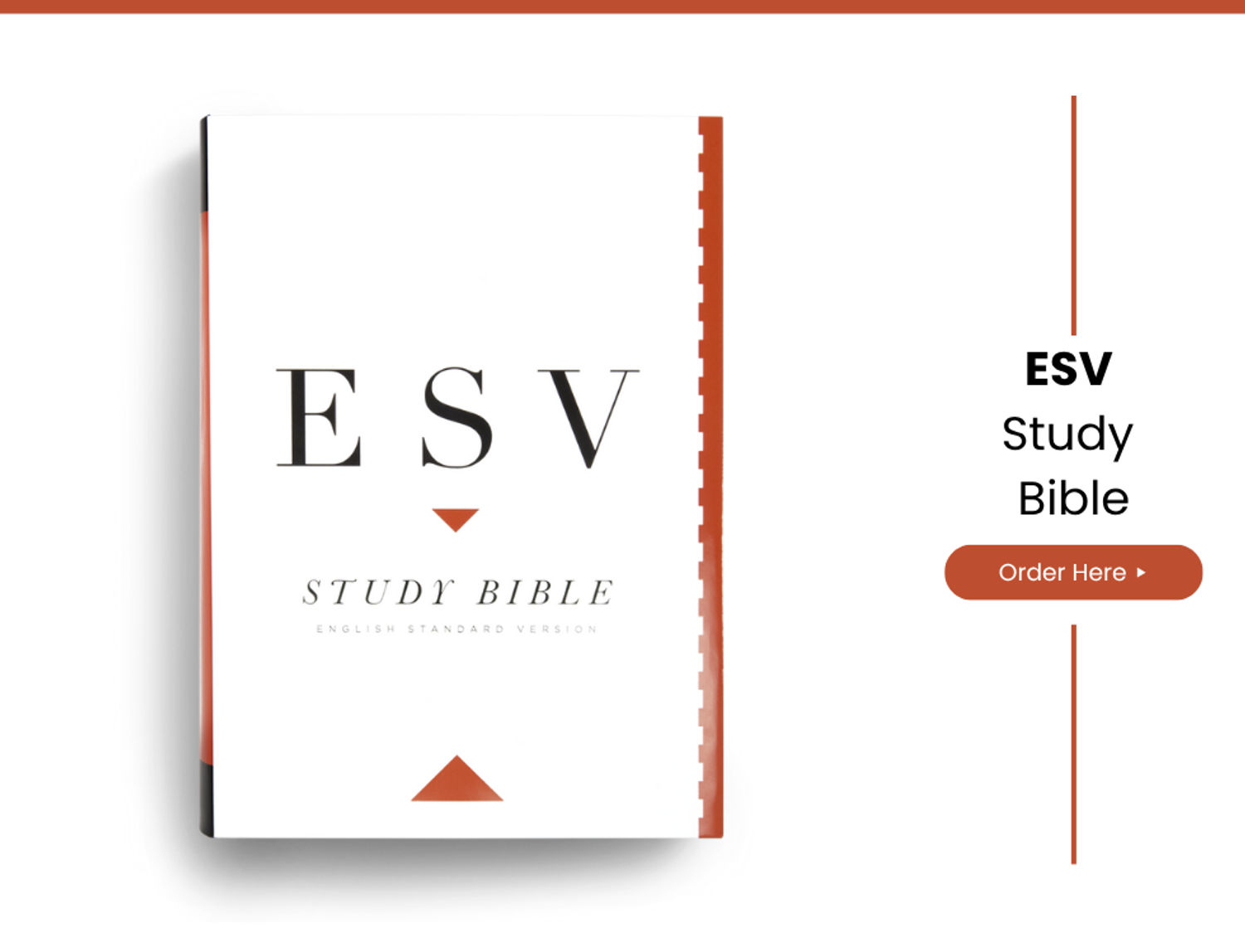 The ESV Study Bible
