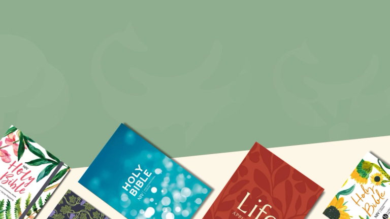 NIV Bibles: The New International Version