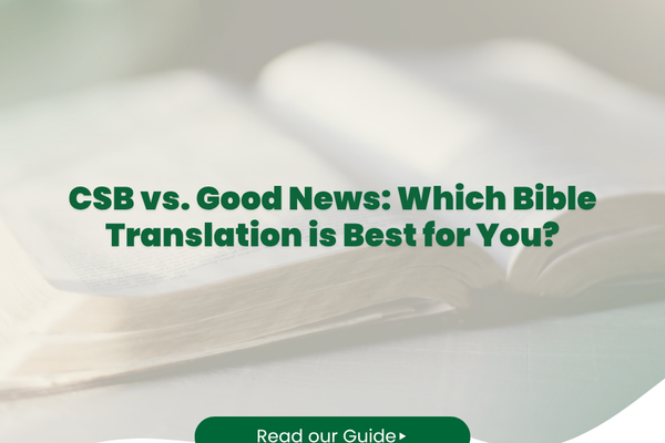 GNB vs CSB: Simple Language or Balanced Accuracy?