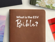 What is the English Standard Version (ESV) Bible?
