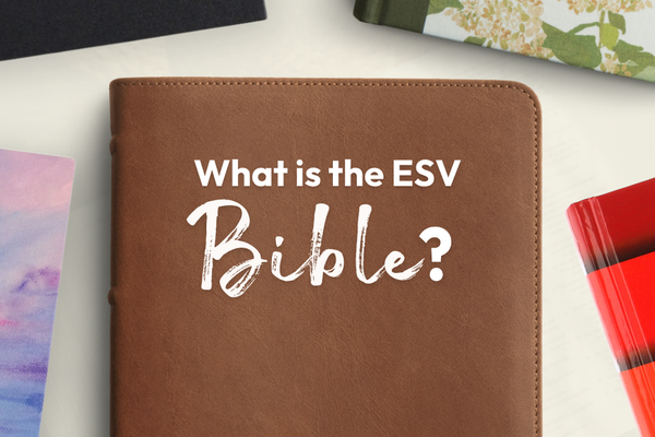 What is the English Standard Version (ESV) Bible?