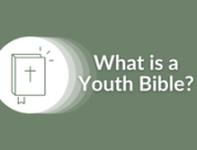 What is a Youth Bible?