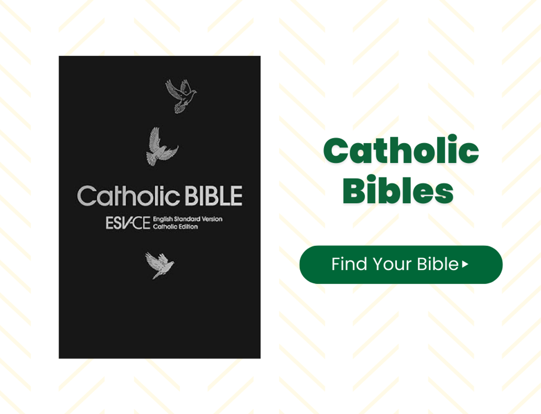 🔗 Shop Catholic Bibles