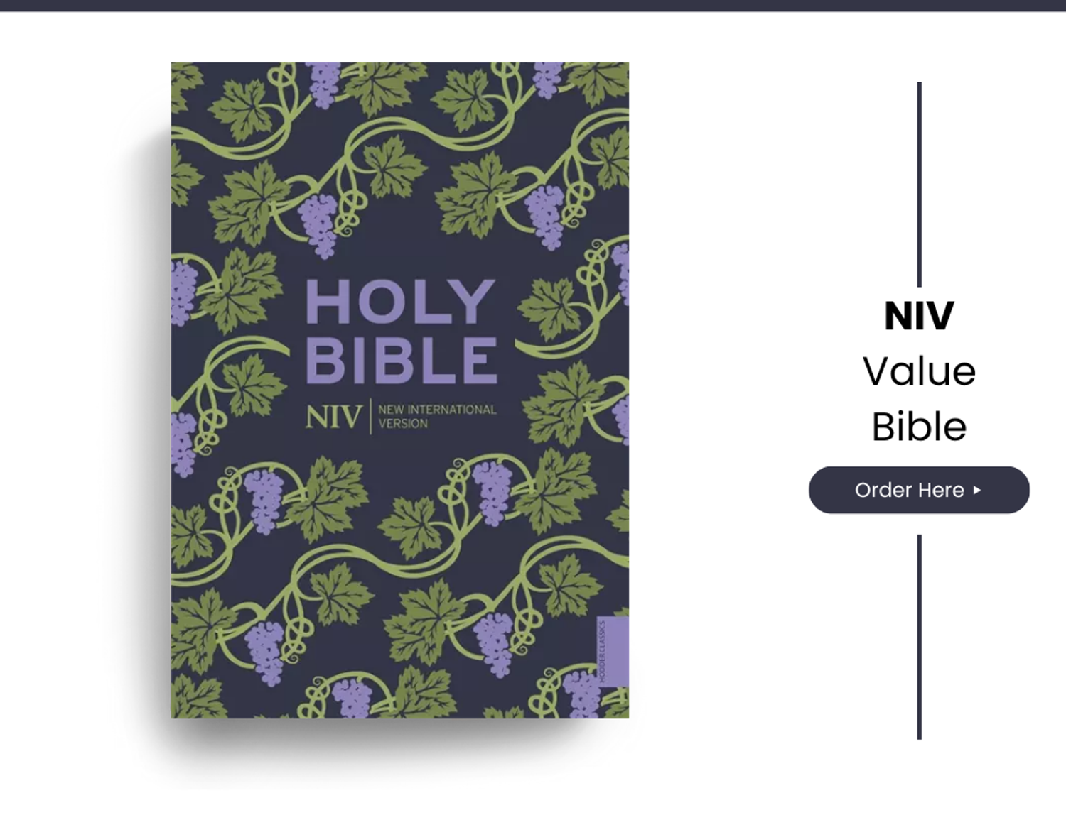 NIV Holy Bible, Purple, Paperback