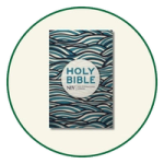 NIV Outreach Bibles