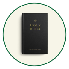 ESV Pew Bibles