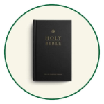 ESV Pew Bibles