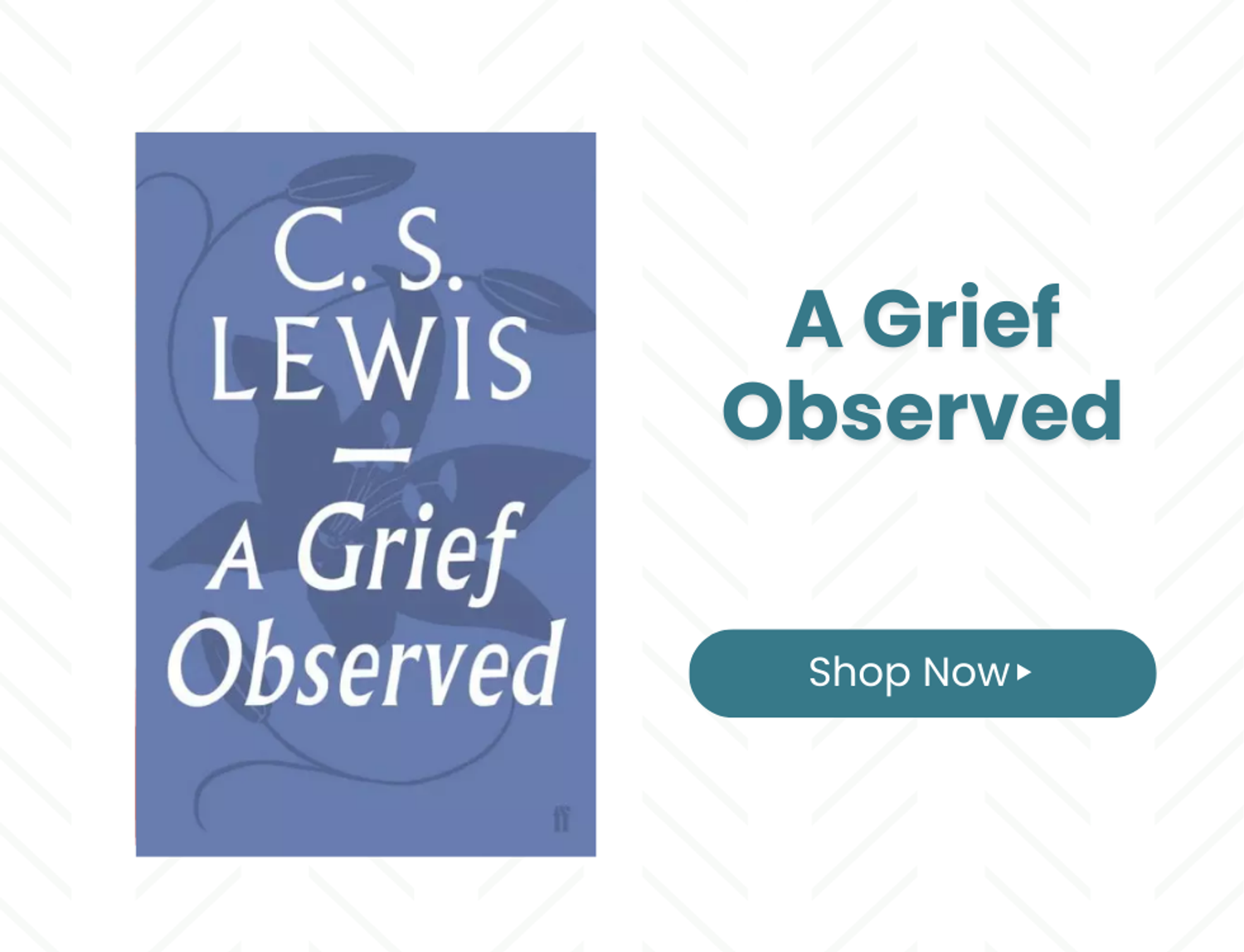 A Grief Observed