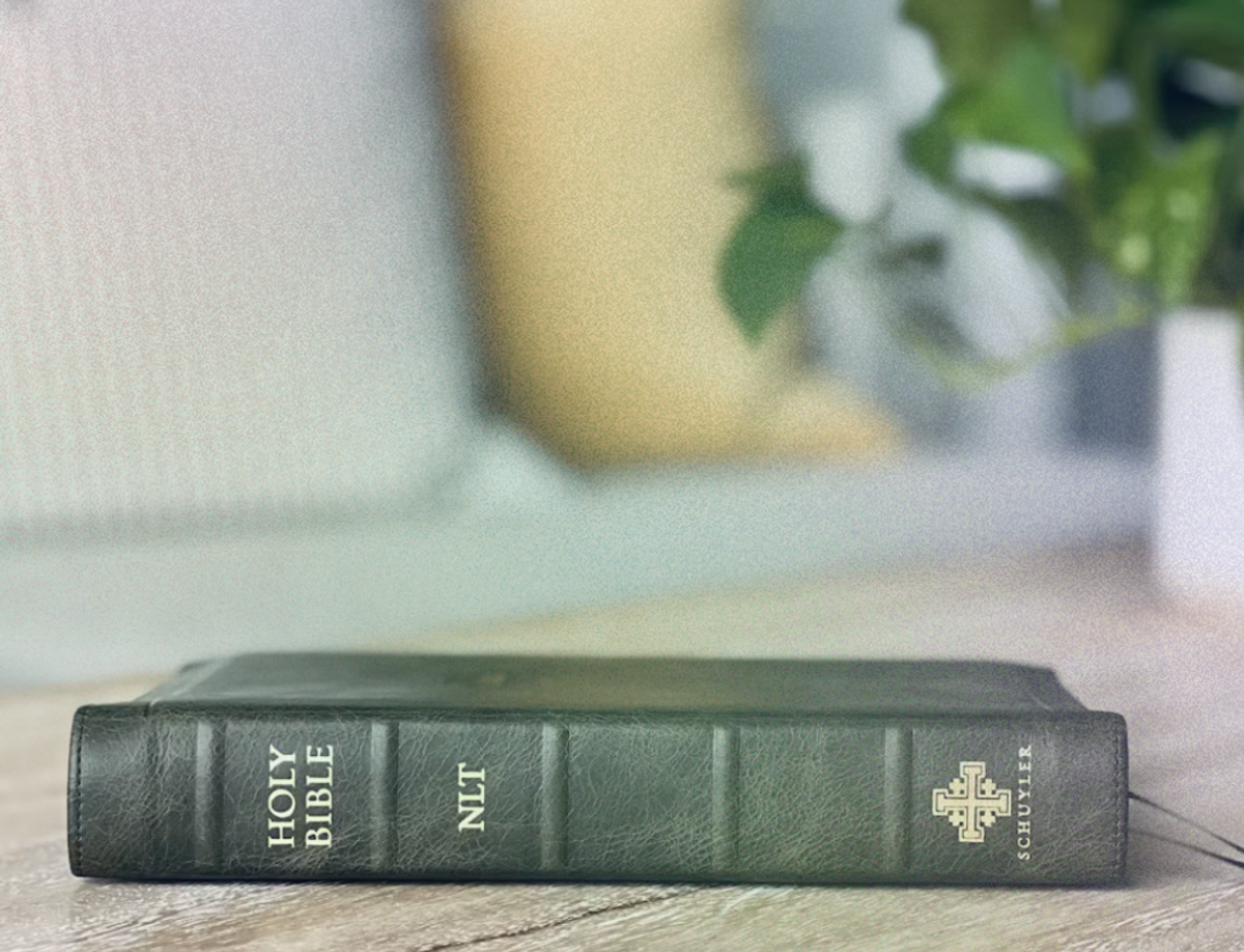 Which NLT Bible Should I Buy? A UK Guide