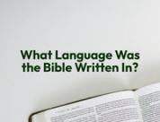 What Language Was the Bible Written In?