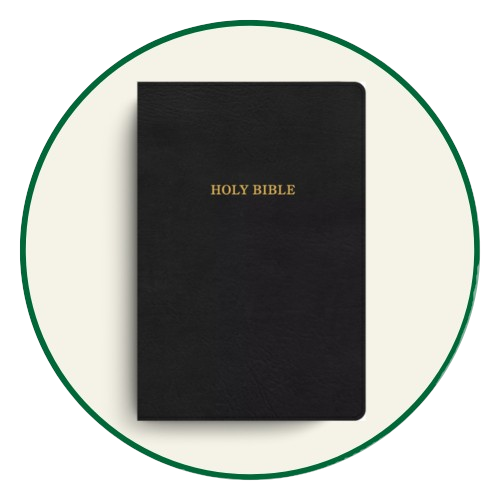 KJV Thinline Bibles
