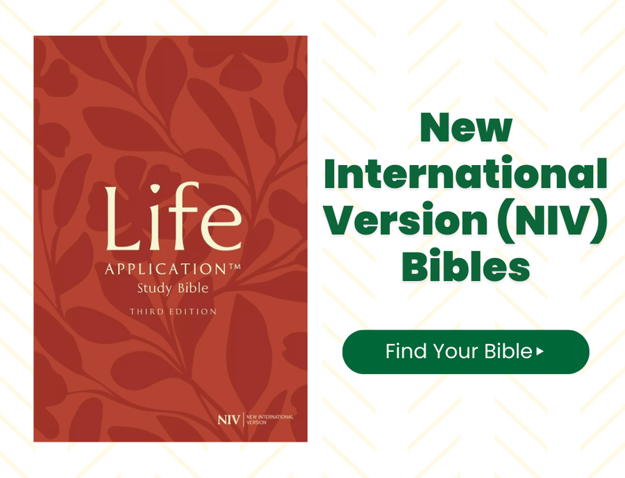 NIV Bibles at Eden