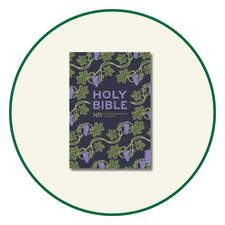 NIV Gift Bibles