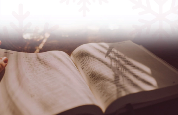Beautiful Bibles