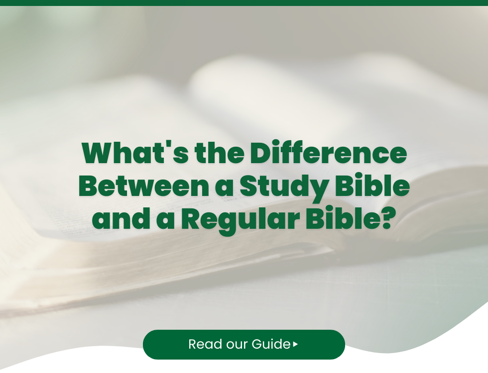 What's the Difference Between a Study Bible and a Regular Bible?