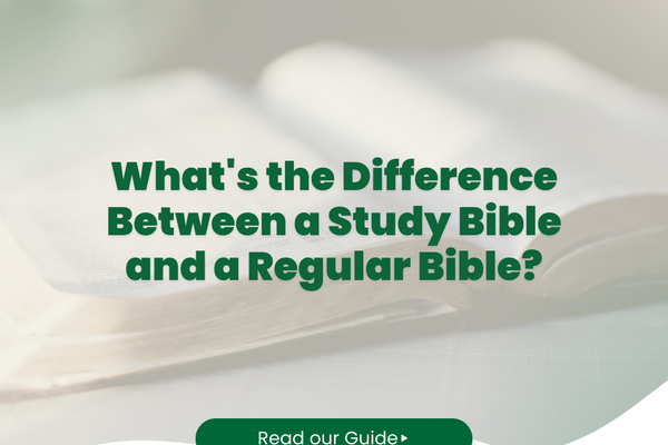 What's the Difference Between a Study Bible and a Regular Bible?