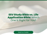 Study Bible vs. Life Application Bible: Which One is Right for You?