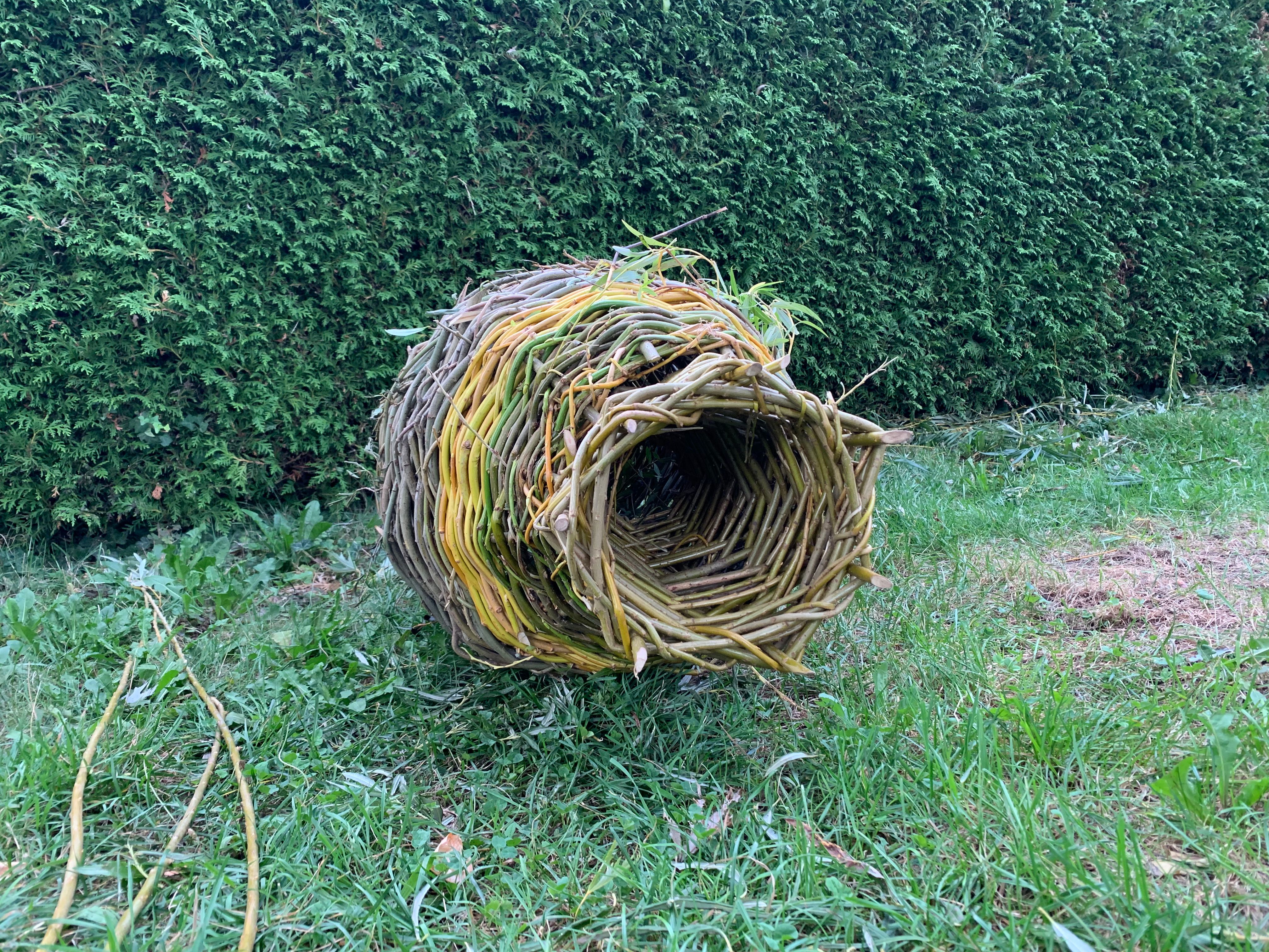 Weidenflechten – Flechtwerk aus der Natur – 3