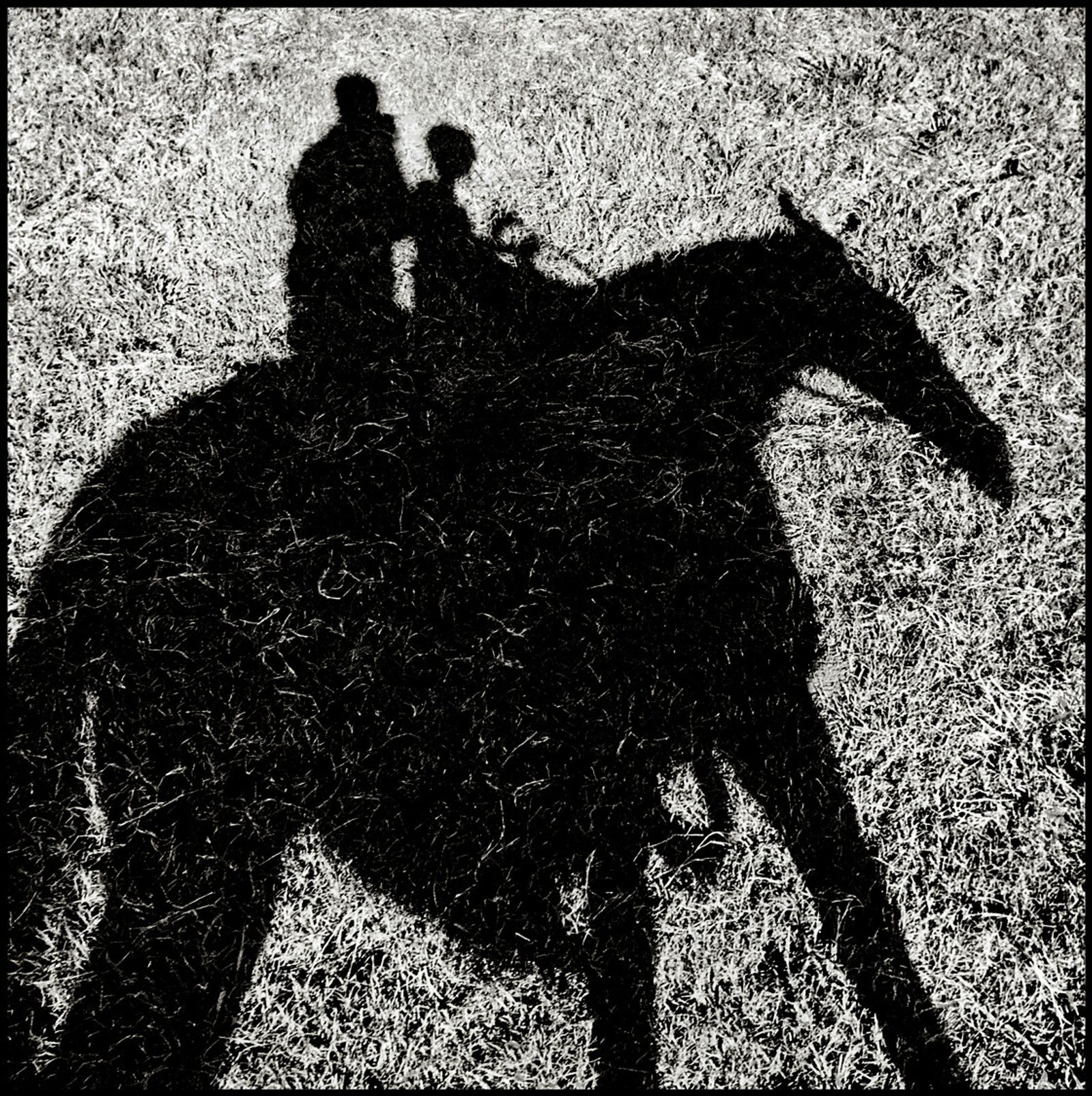 The Ride, Texas