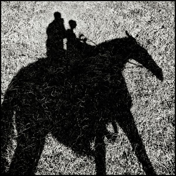 The Ride, Texas