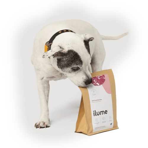 ilume Fresh dog food delivery service to help our dogs live longer lives