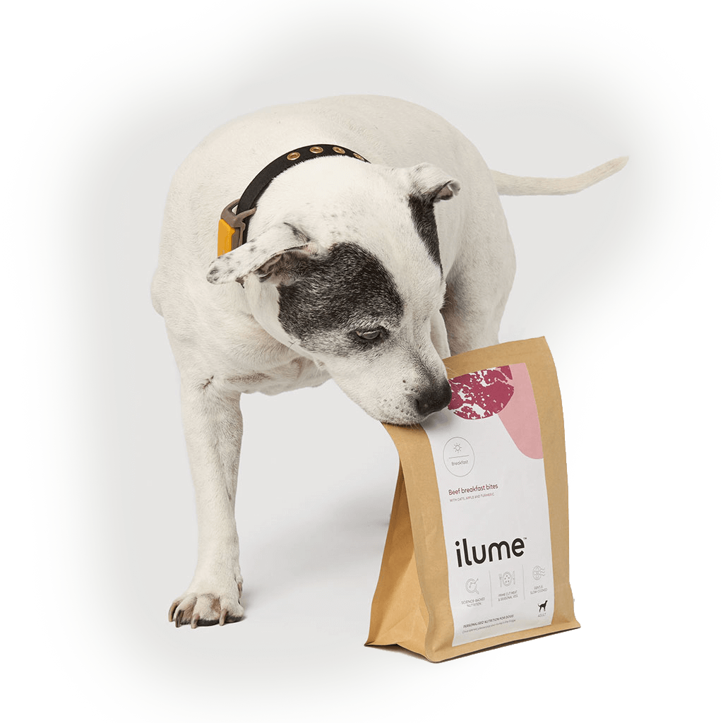 3 steps to your dog’s food delivery