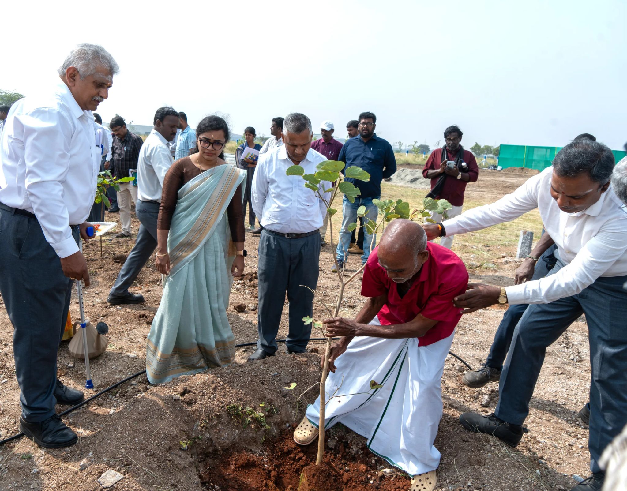 Inclusive Plantation with elders from foster homes