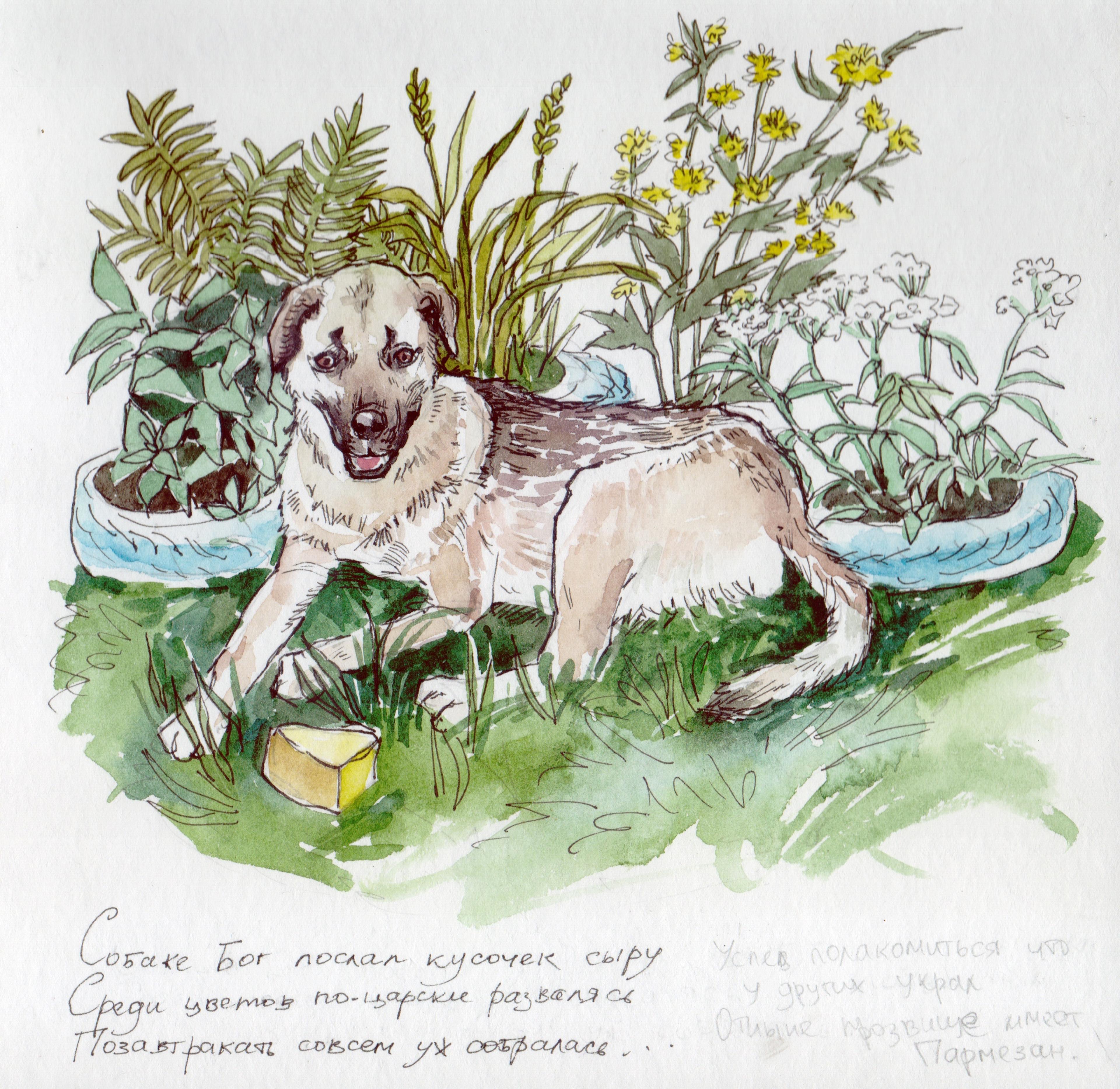 Watercolour painting of a dog in front of flowers