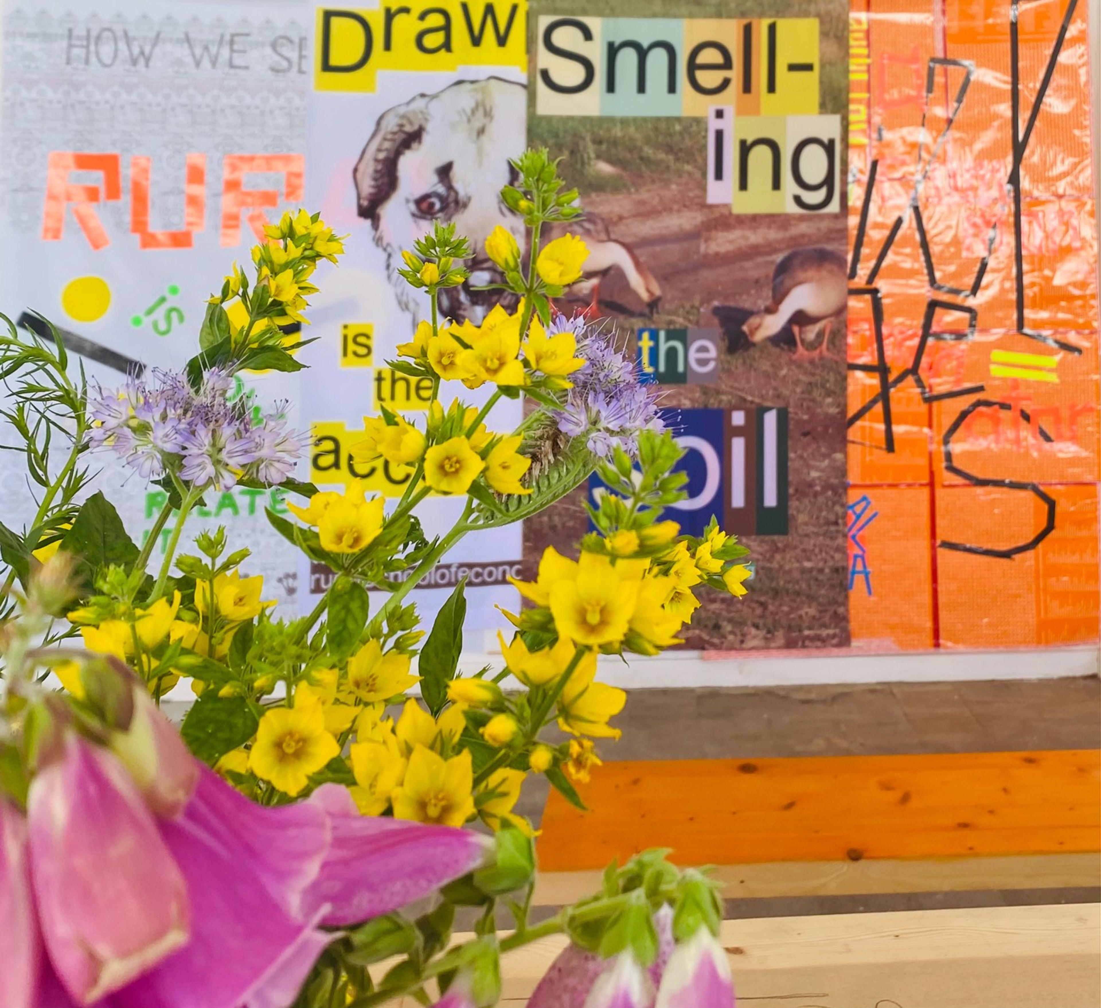 In the left corner we see some yellow and rosa flowers - on the back the wall is full of banners - the words Draw and Smelling Soil we can read ...
