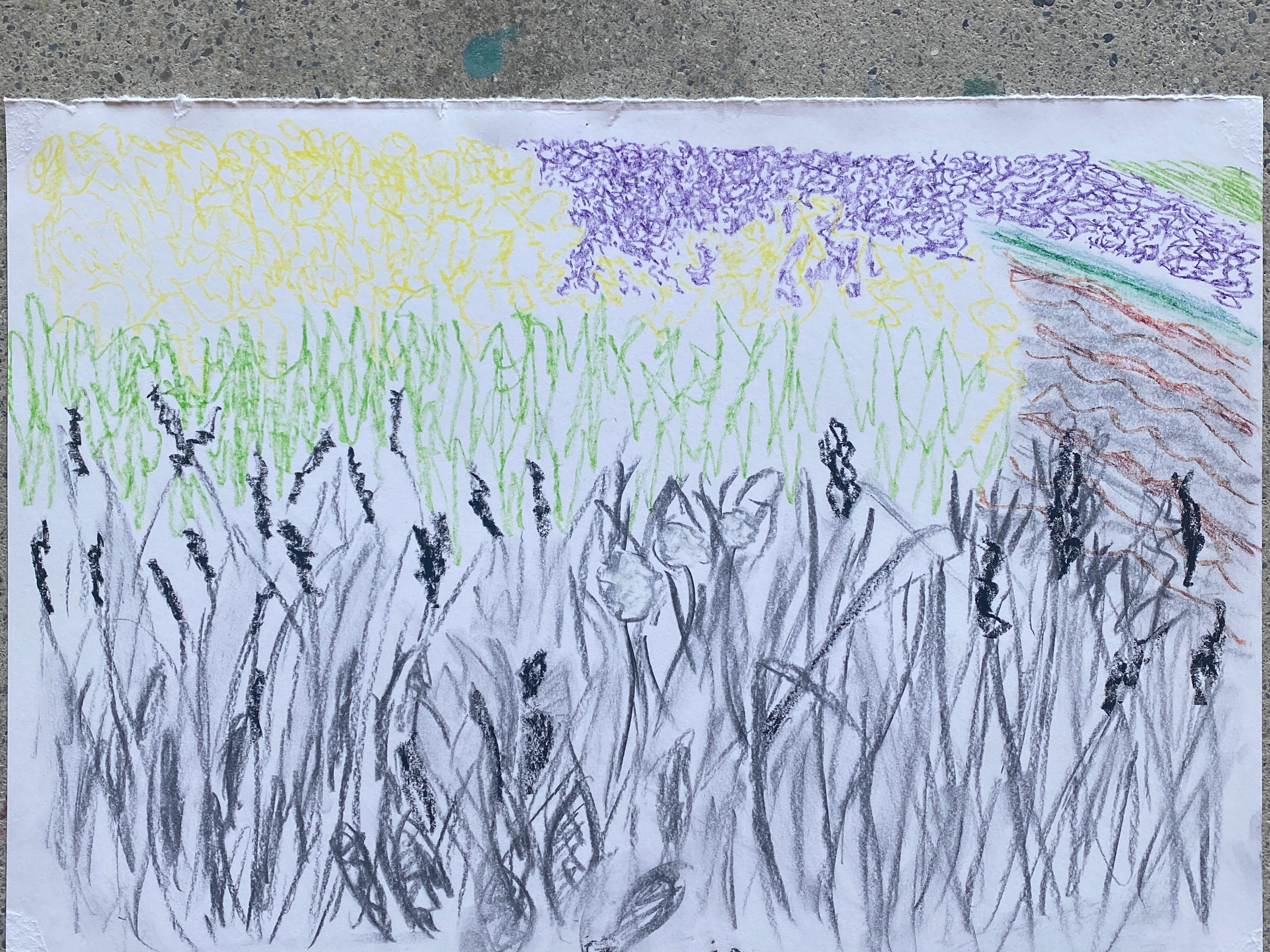 A hand-drawing using colour to show fields. The paper is lying on a concrete floor.