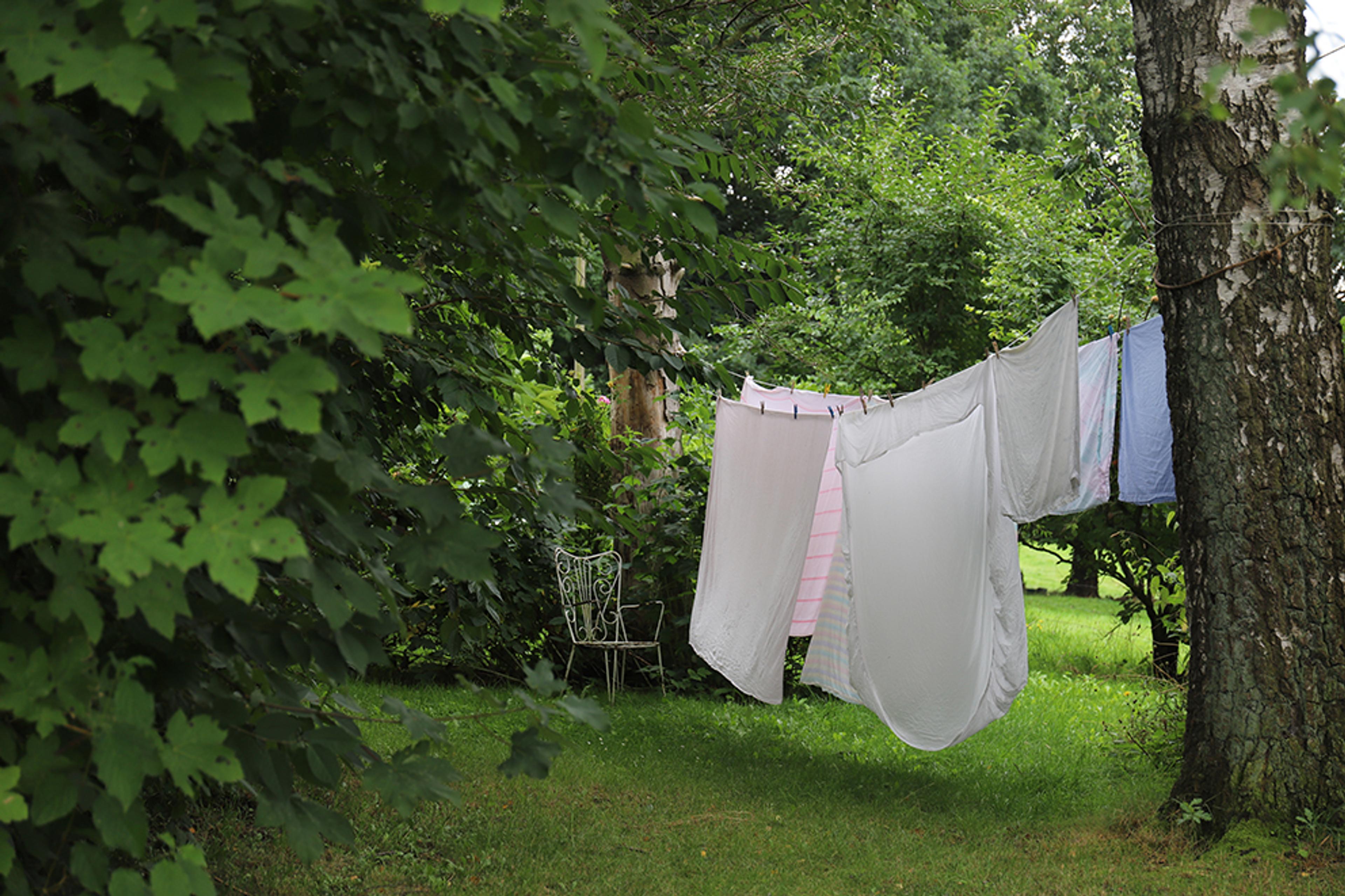 Laundry in a garden