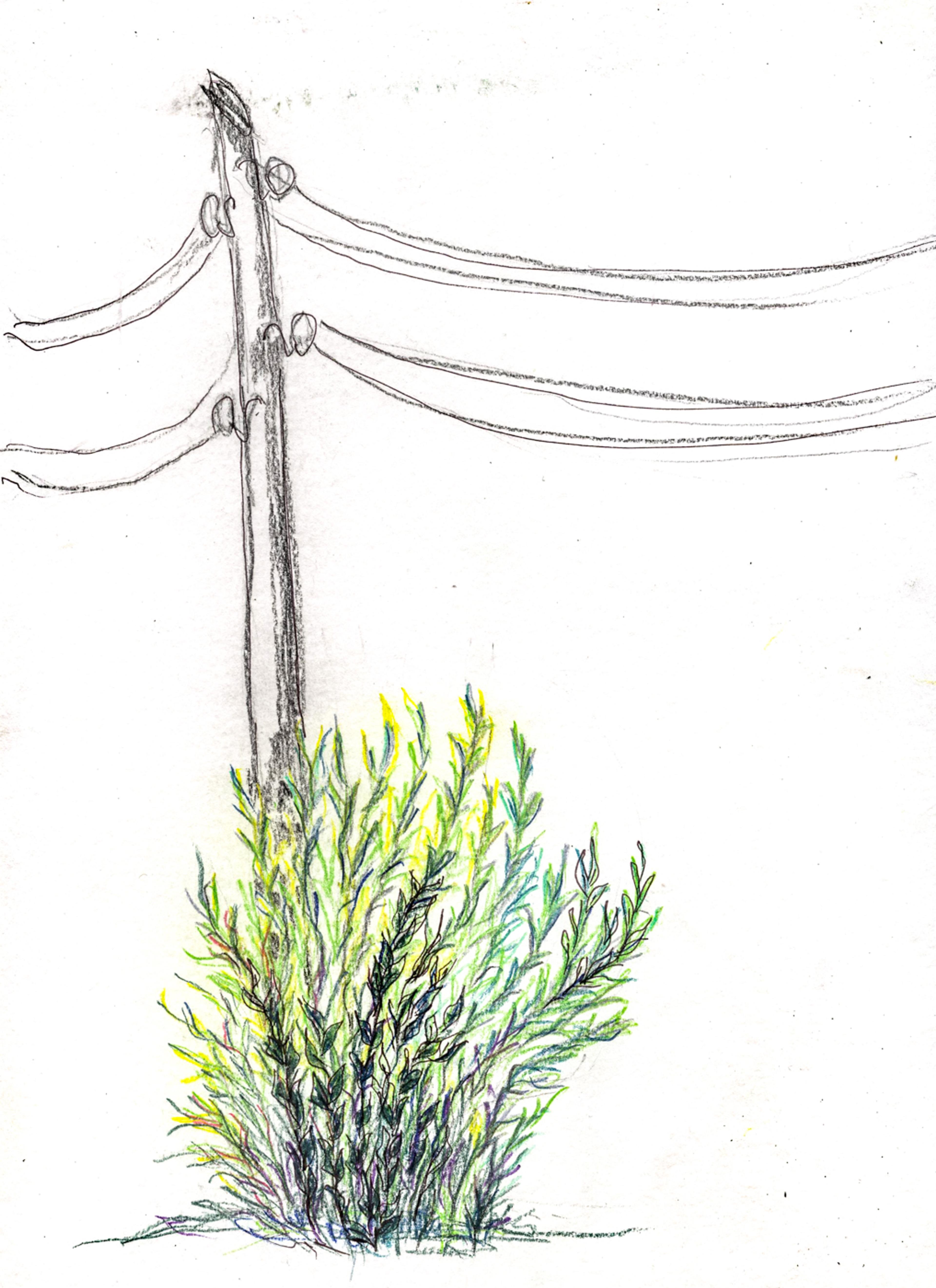 pencil drawing of an electricity pole 