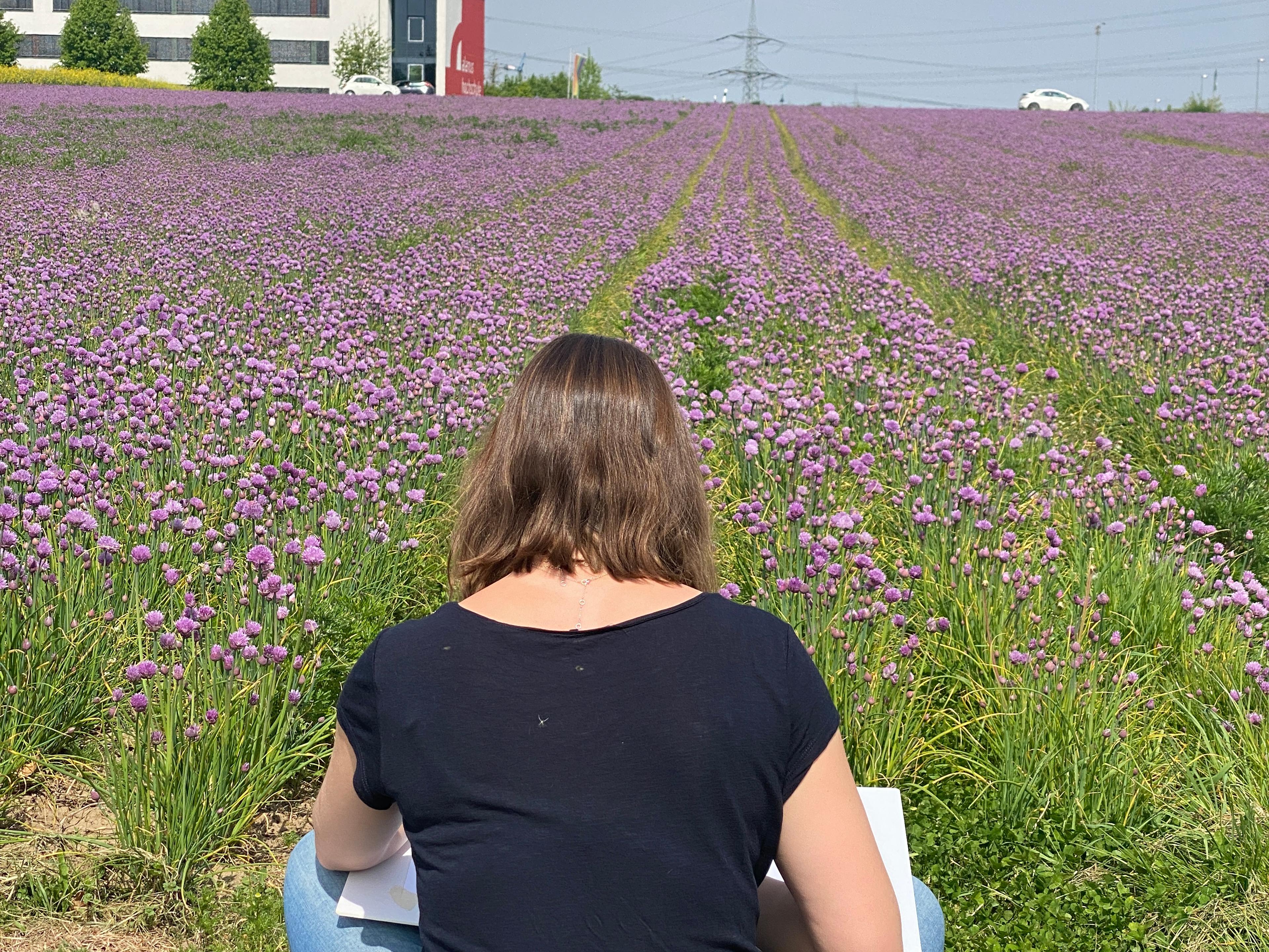 A women is sitting on the ground in front of a field with purple flowers. She is drawing the landscape. A cubic building is visible on the horizon.