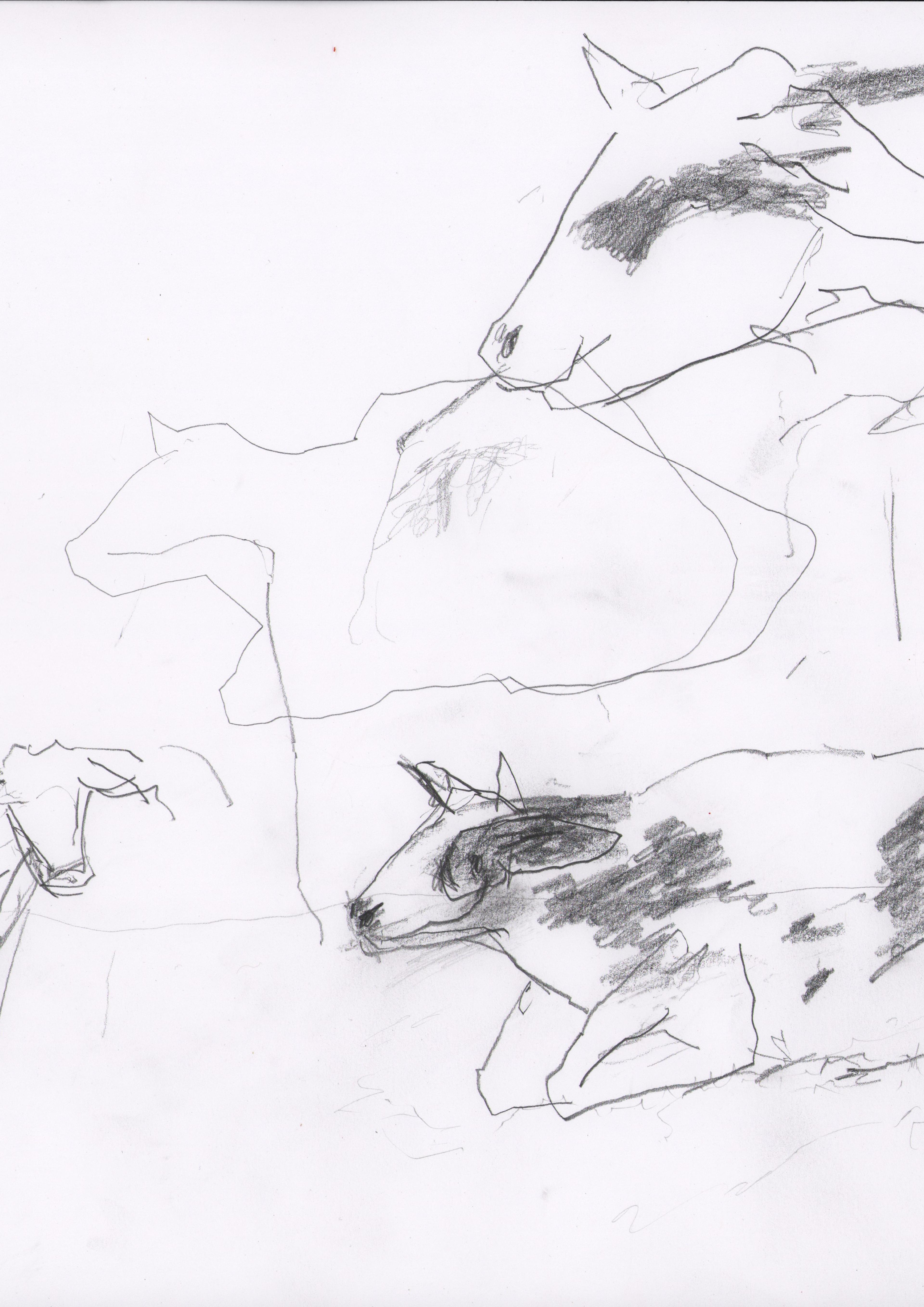 drawing of cows in field