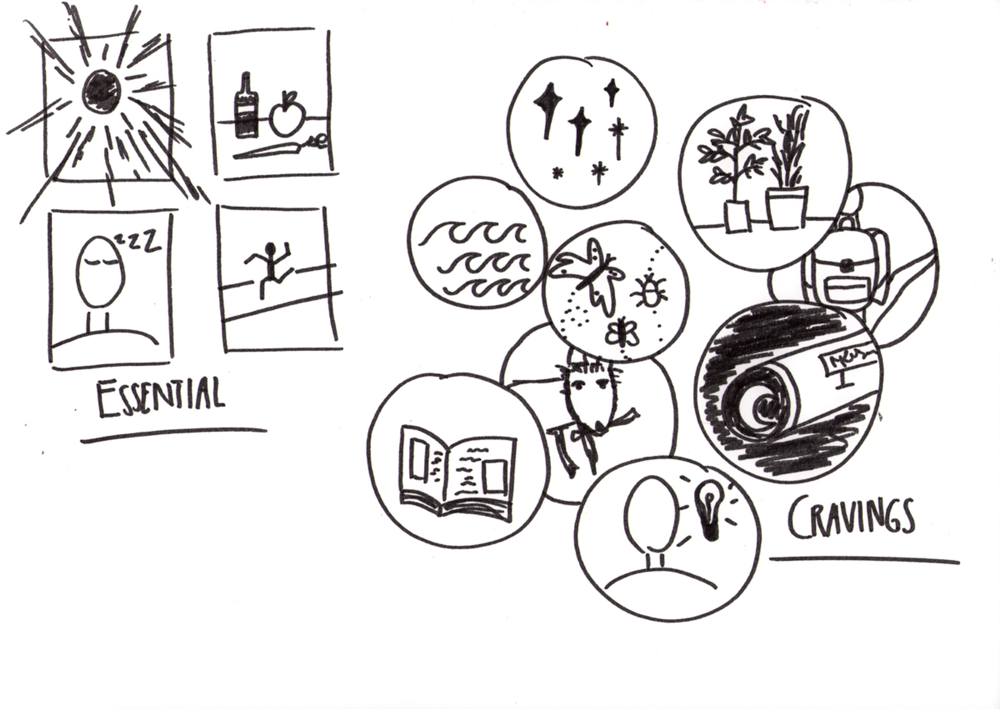a sketch with black marker of categorizing objects and experiences into essentials or cravings