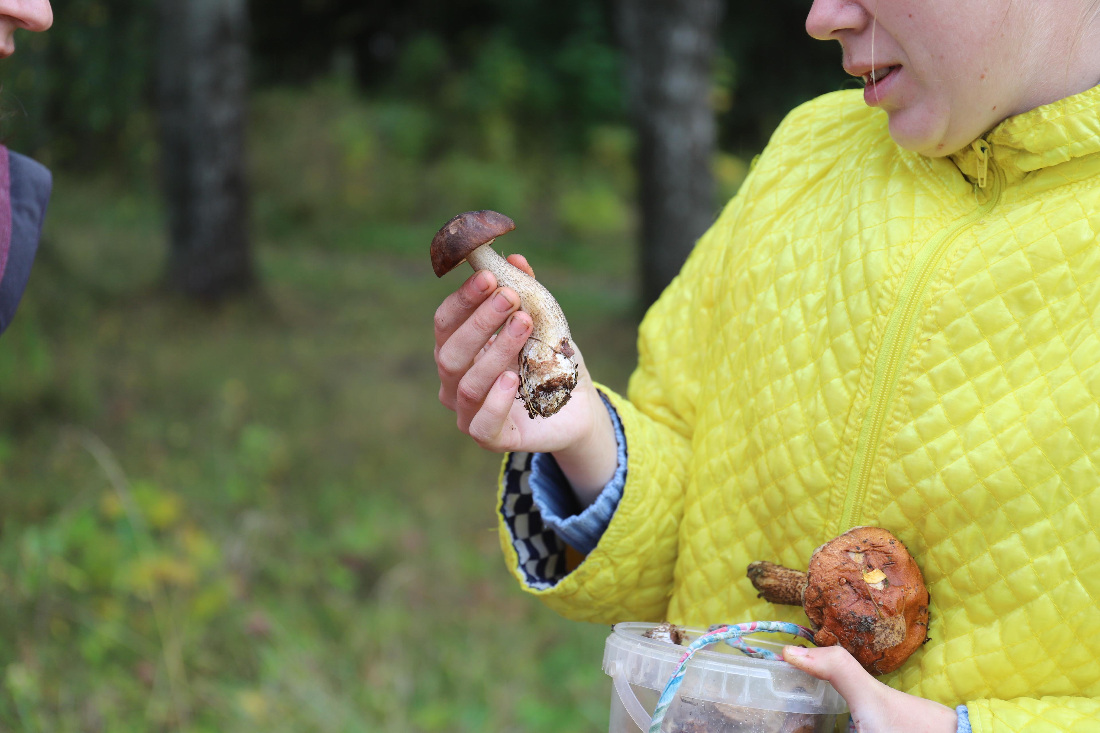 A women on the right in a bright yellow anorak holds a freshly picked porcini. 