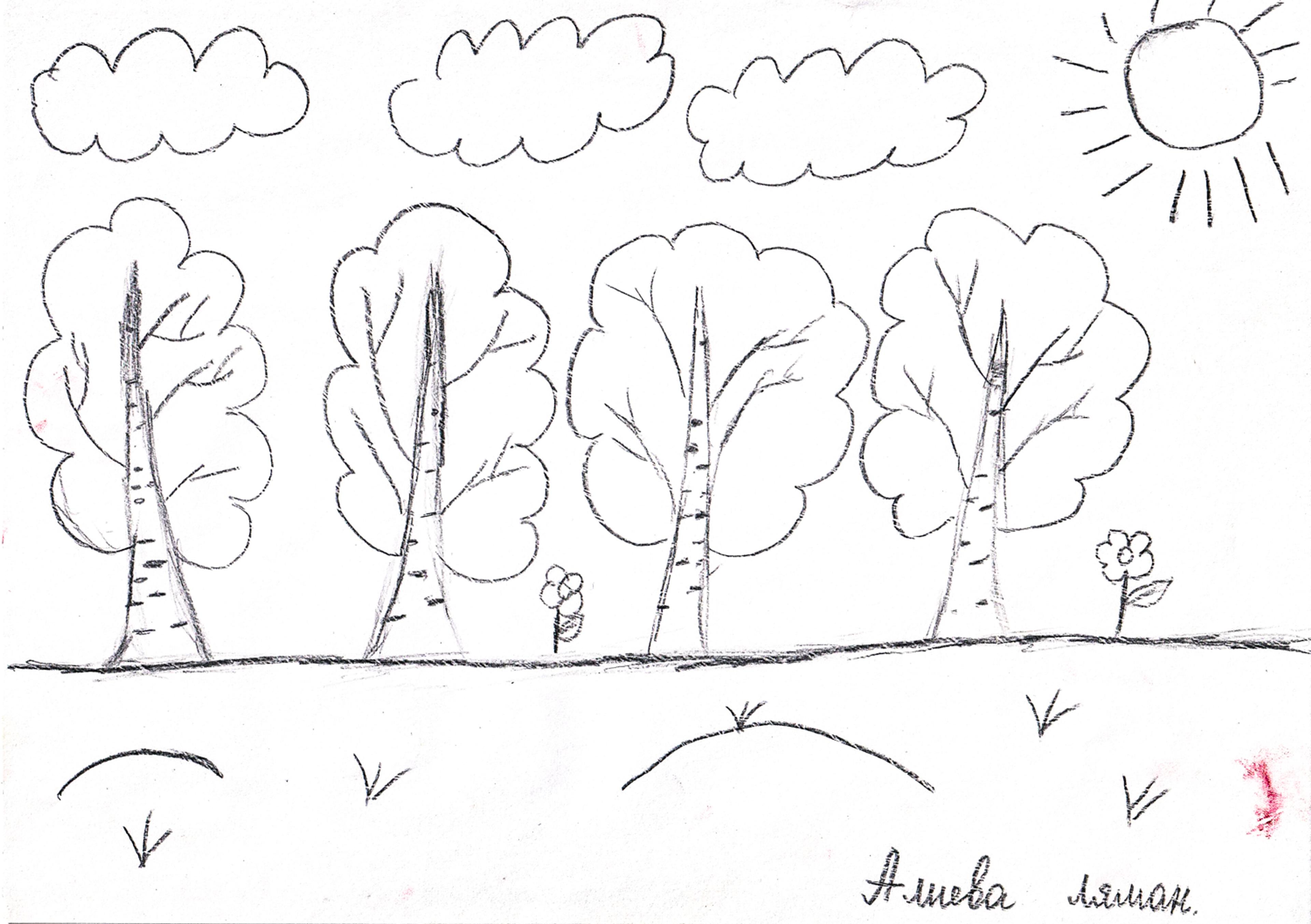pencil drawing of birch trees, clouds and sun