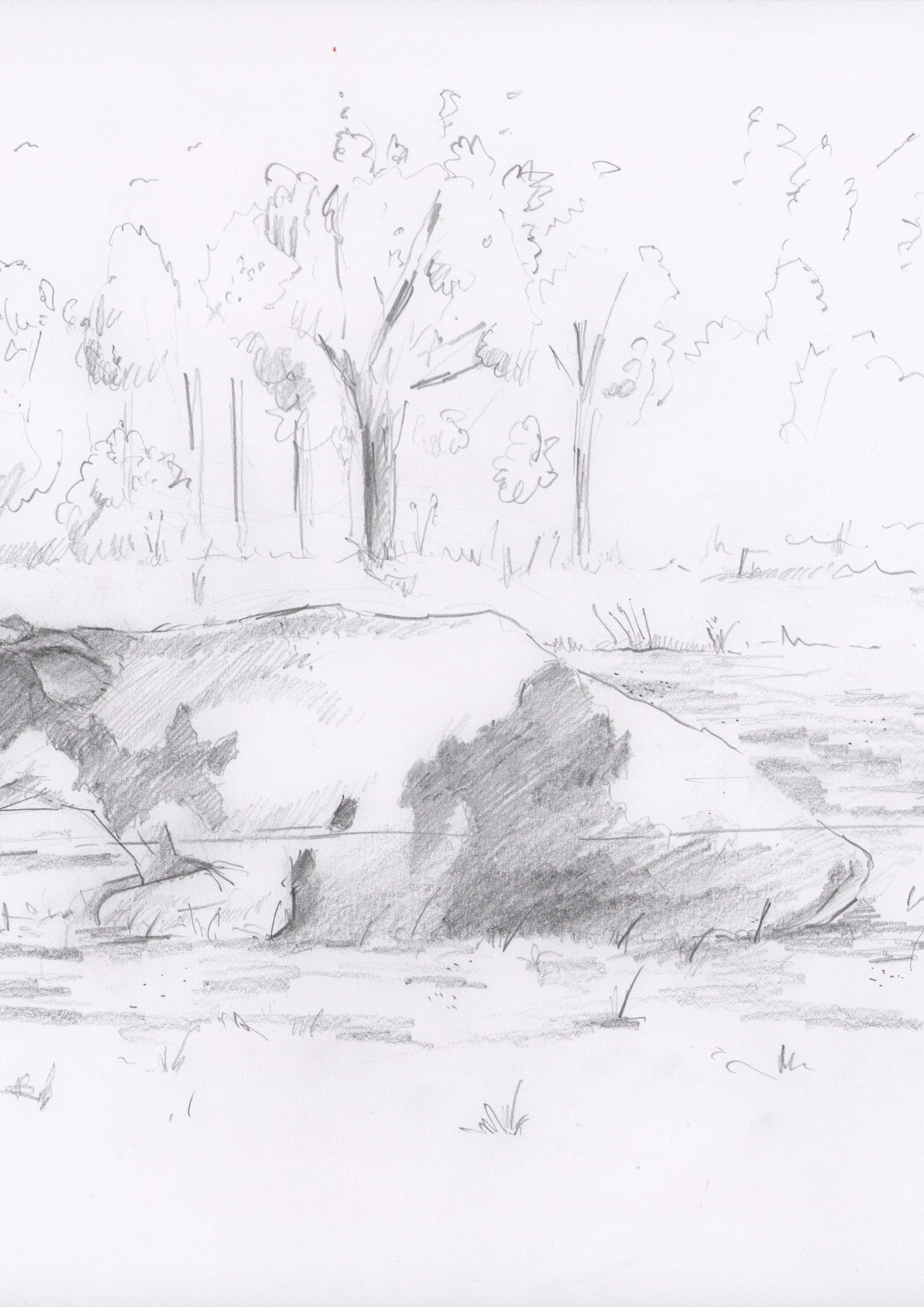 drawing of a cow in field